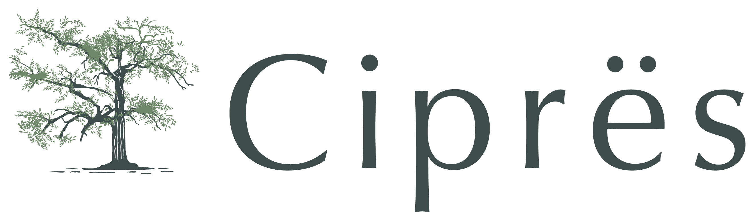 Ciprës · San Luis Potosí